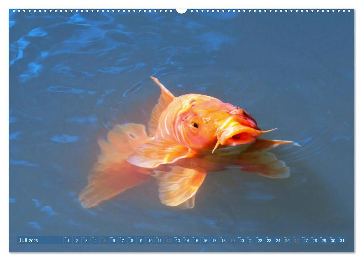 Bild: 9783457661949 | Koi: Juwelen im Teich (hochwertiger Premium Wandkalender 2026 DIN...