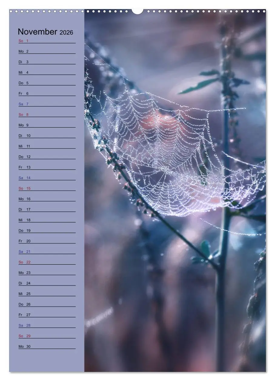 Bild: 9783516371949 | Pastell-Zauber (Wandkalender 2026 DIN A2 hoch), CALVENDO...