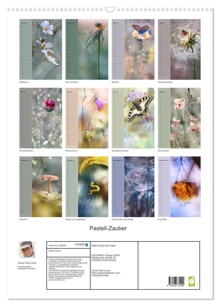 Bild: 9783516371949 | Pastell-Zauber (Wandkalender 2026 DIN A2 hoch), CALVENDO...