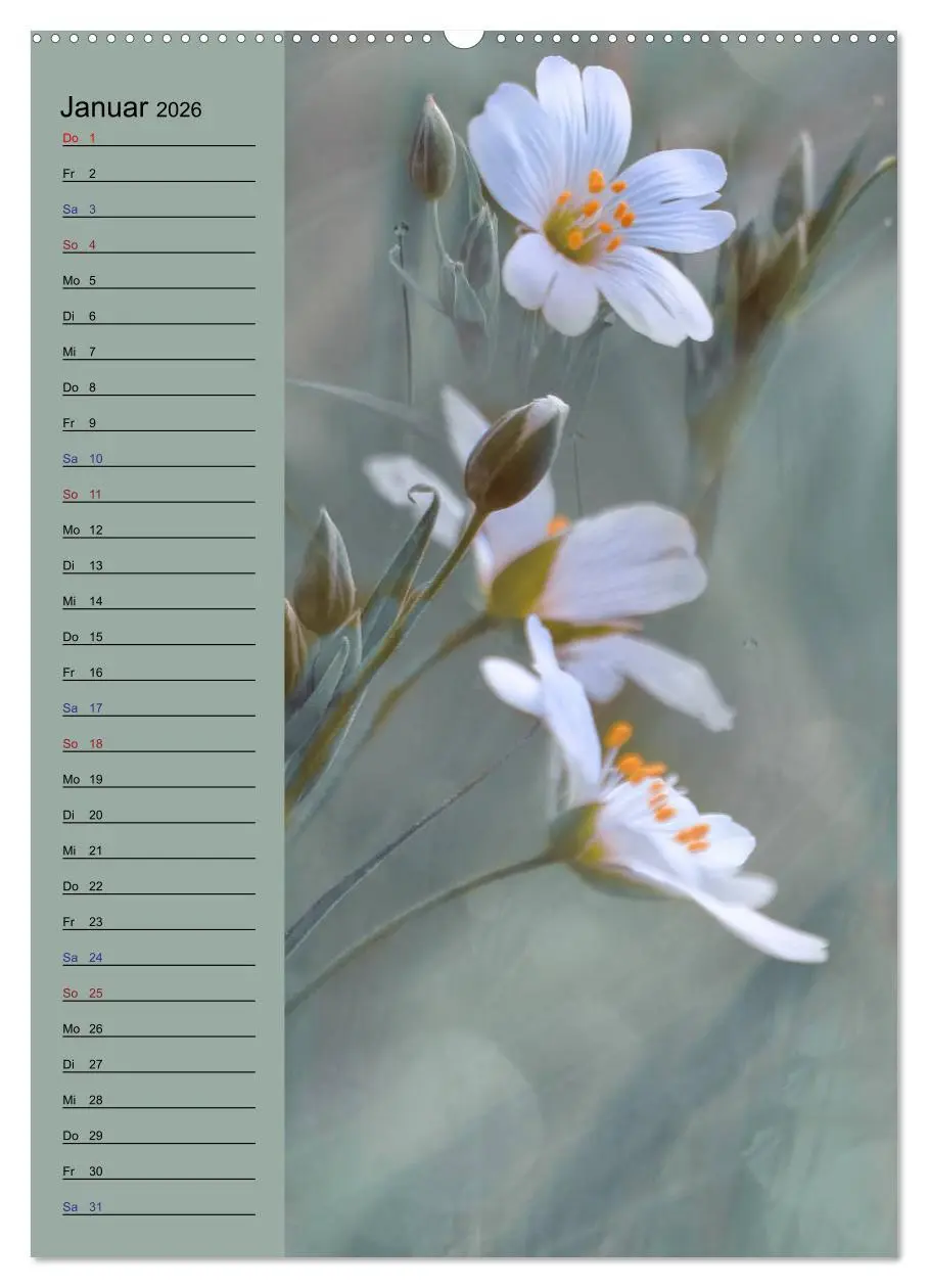 Bild: 9783516371949 | Pastell-Zauber (Wandkalender 2026 DIN A2 hoch), CALVENDO...