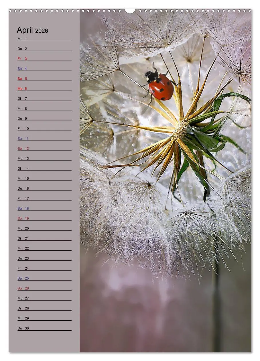 Bild: 9783516371949 | Pastell-Zauber (Wandkalender 2026 DIN A2 hoch), CALVENDO...