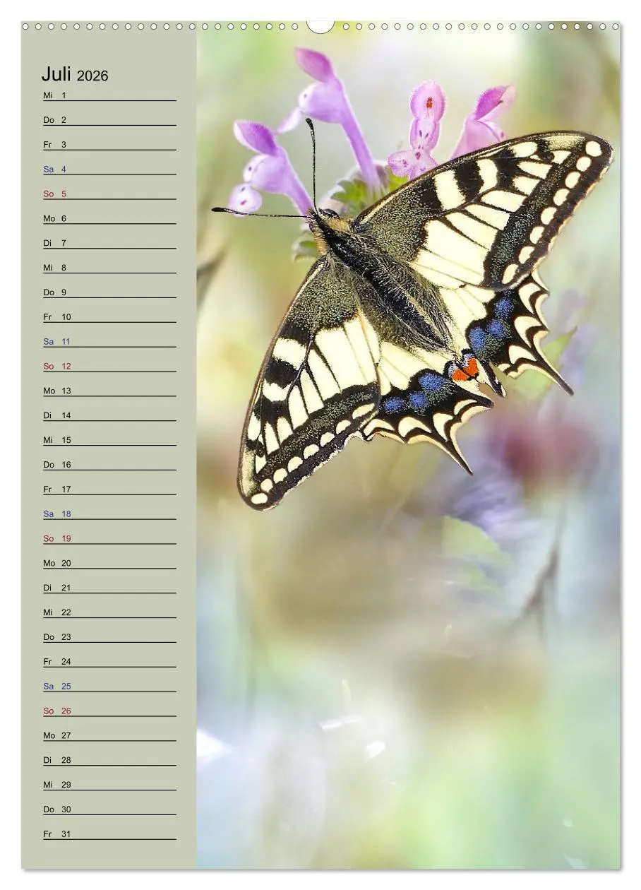 Bild: 9783516371949 | Pastell-Zauber (Wandkalender 2026 DIN A2 hoch), CALVENDO...