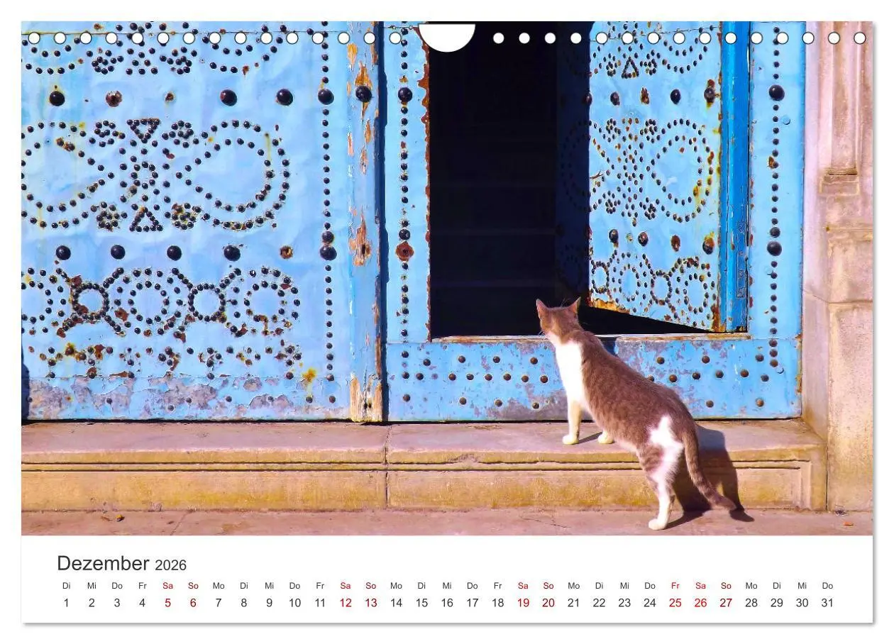 Bild: 9783457552049 | Faszination Tunesien (Wandkalender 2026 DIN A4 quer), CALVENDO...