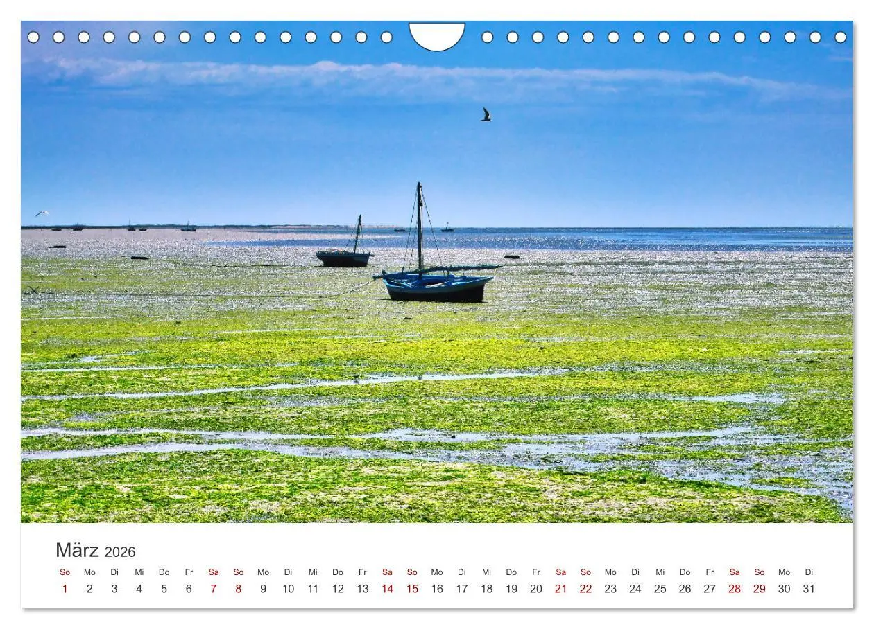 Bild: 9783457552049 | Faszination Tunesien (Wandkalender 2026 DIN A4 quer), CALVENDO...