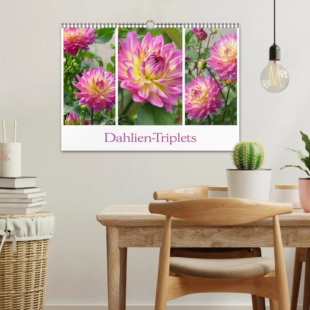 Bild: 9783457862049 | Dahlien-Triplets (Wandkalender 2026 DIN A3 quer), CALVENDO...