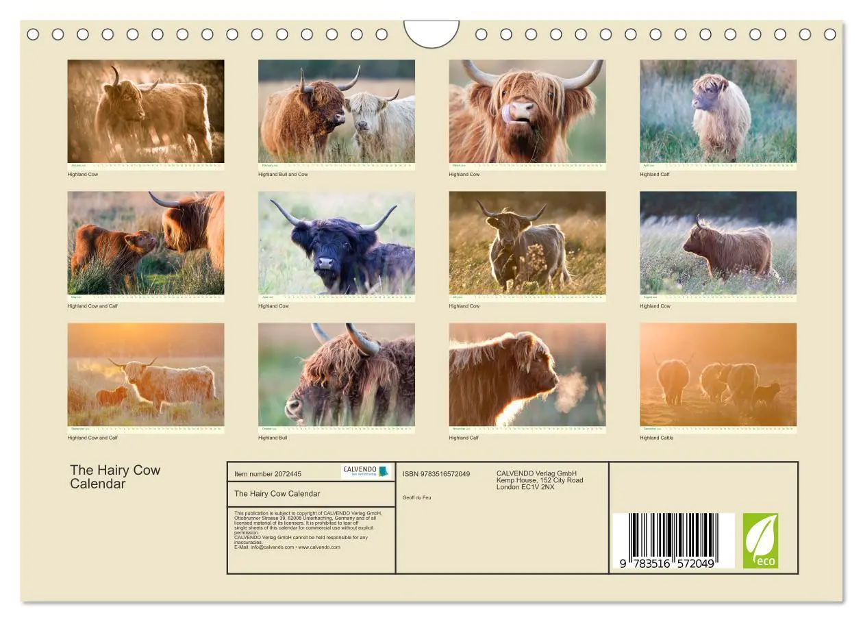 Bild: 9783516572049 | The Hairy Cow Calendar (Wall Calendar 2026 DIN A4 landscape),...