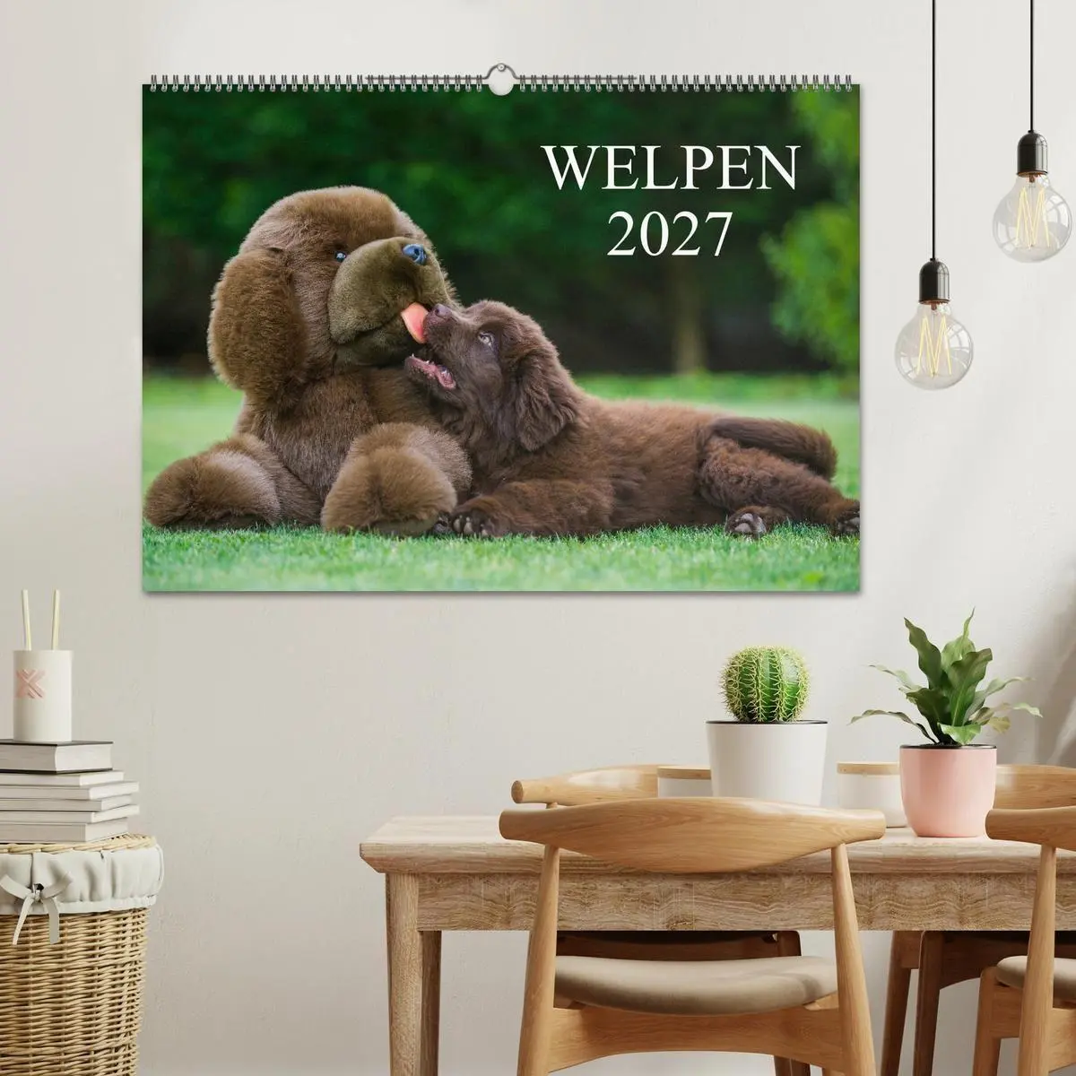 Bild: 9783594172049 | Welpen 2027 (Wandkalender 2027 DIN A2 quer), CALVENDO Monatskalender