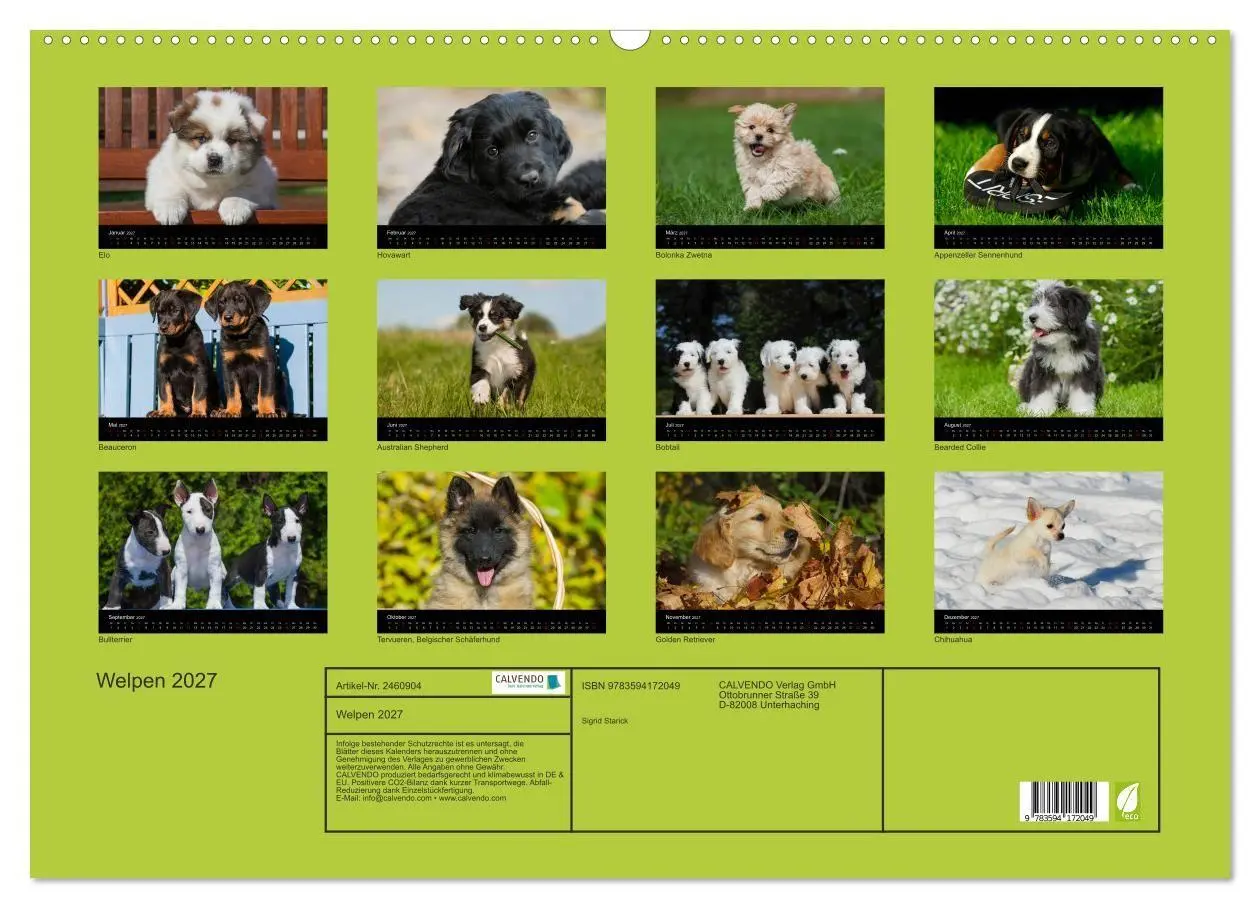 Bild: 9783594172049 | Welpen 2027 (Wandkalender 2027 DIN A2 quer), CALVENDO Monatskalender