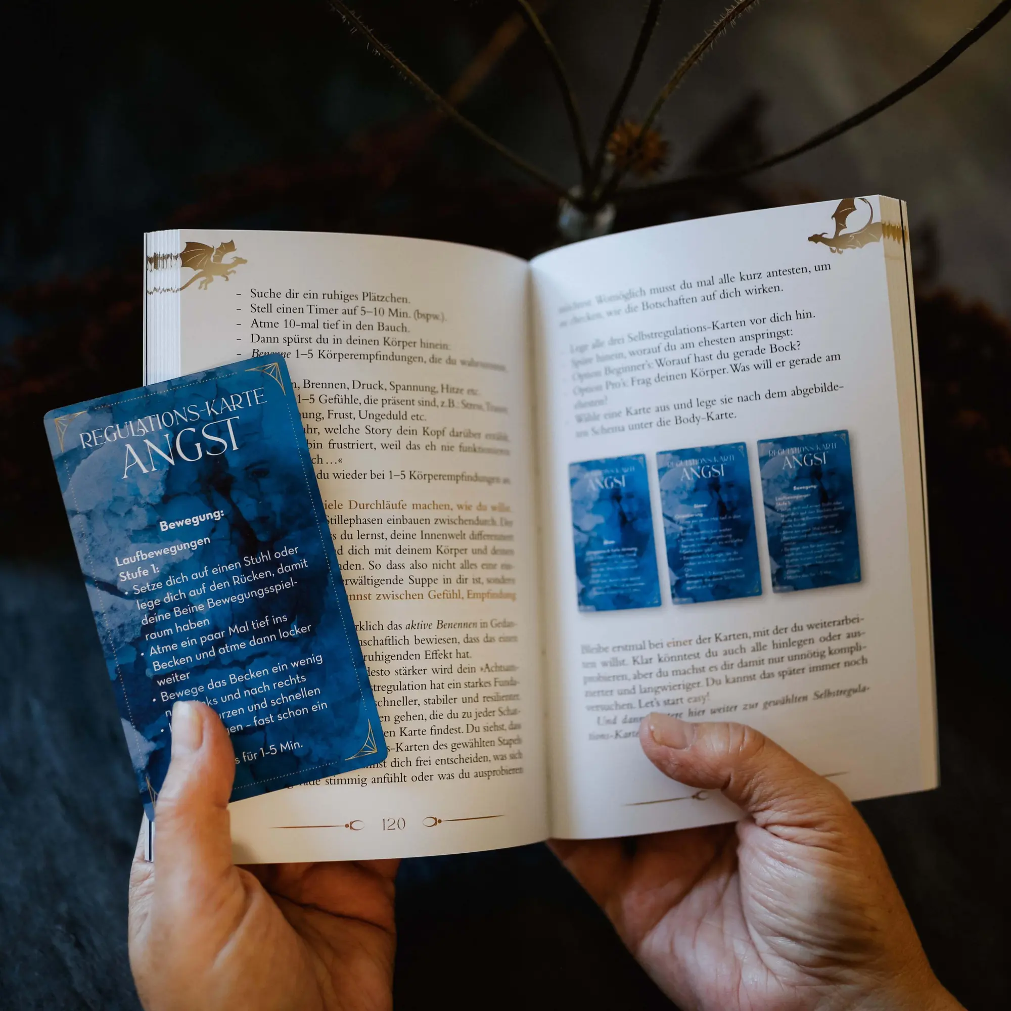 Bild: 9783868262049 | Shadow Work - Ride your Dragon! Dein Starterkit mit Buch und 33 Karten