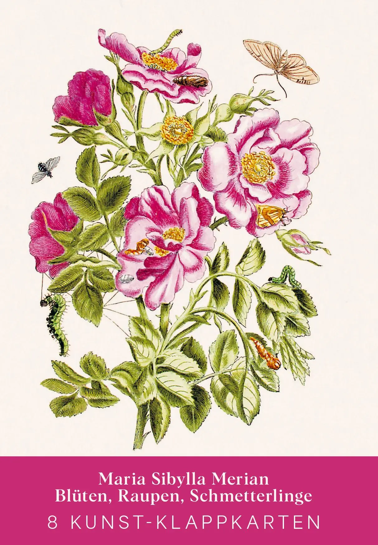 Cover: 9783968492049 | Maria Sibylla Merian - Acht Kunst-Klappkarten | Maria Sibylla Merian