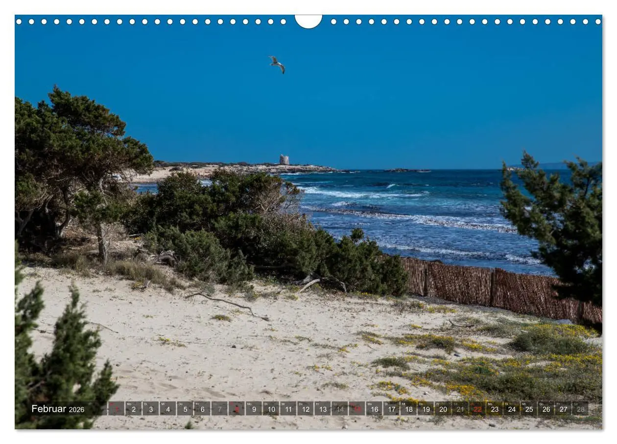 Bild: 9783457922149 | Ibiza Küste, Buchten und Strände (Wandkalender 2026 DIN A3 quer),...