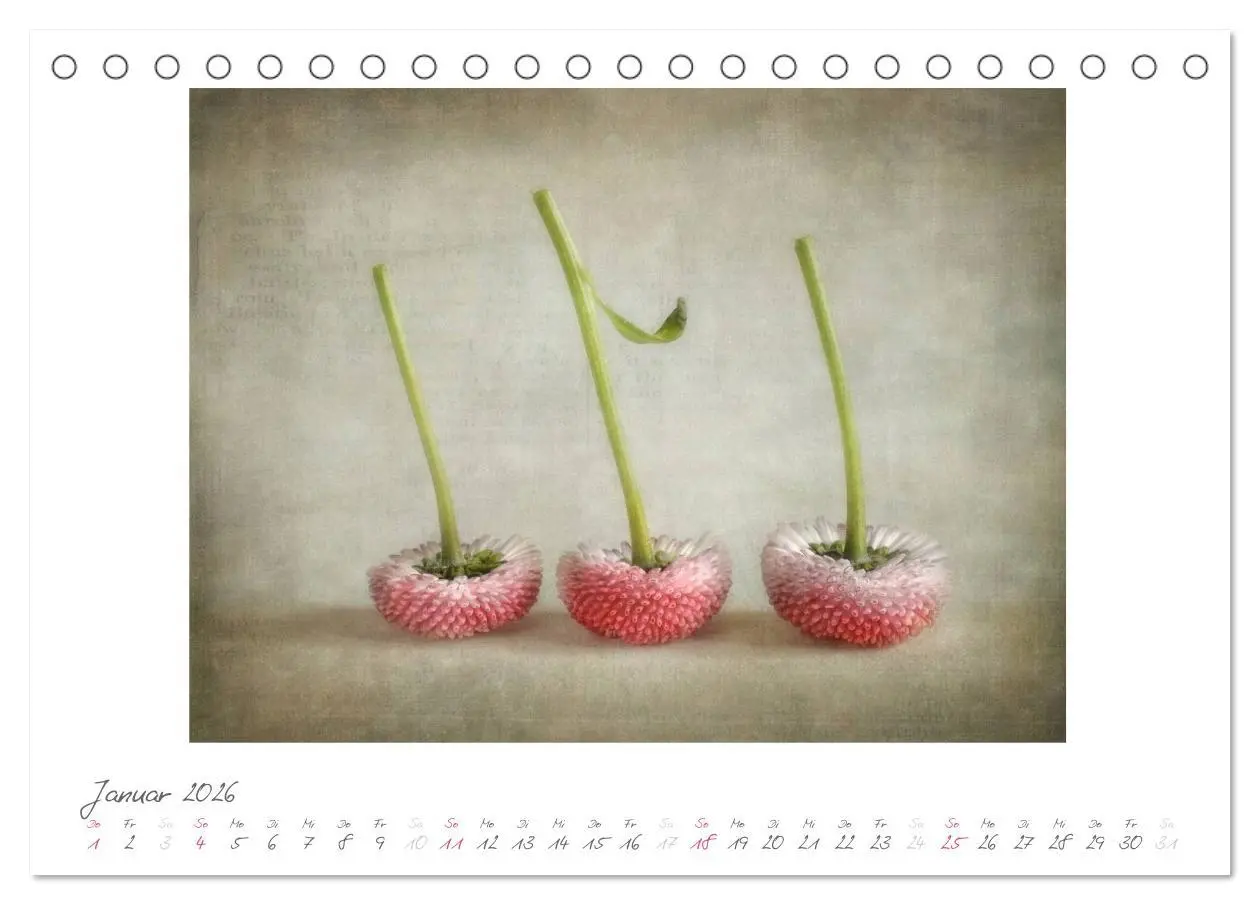 Bild: 9783516182149 | Vintage Flowers (Tischkalender 2026 DIN A5 quer), CALVENDO...