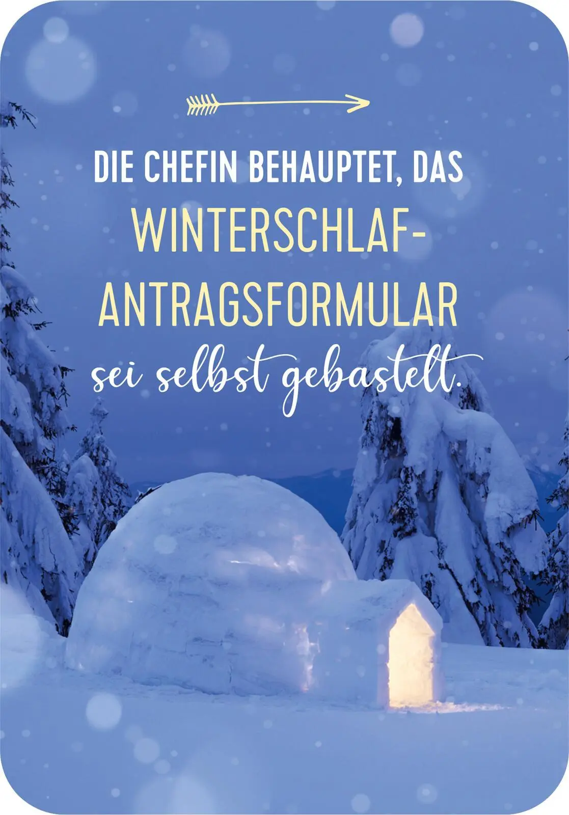 Bild: 9783845862149 | Advent, Advent, die Stimmung brennt! | 24 Kärtchen zum Abreagieren
