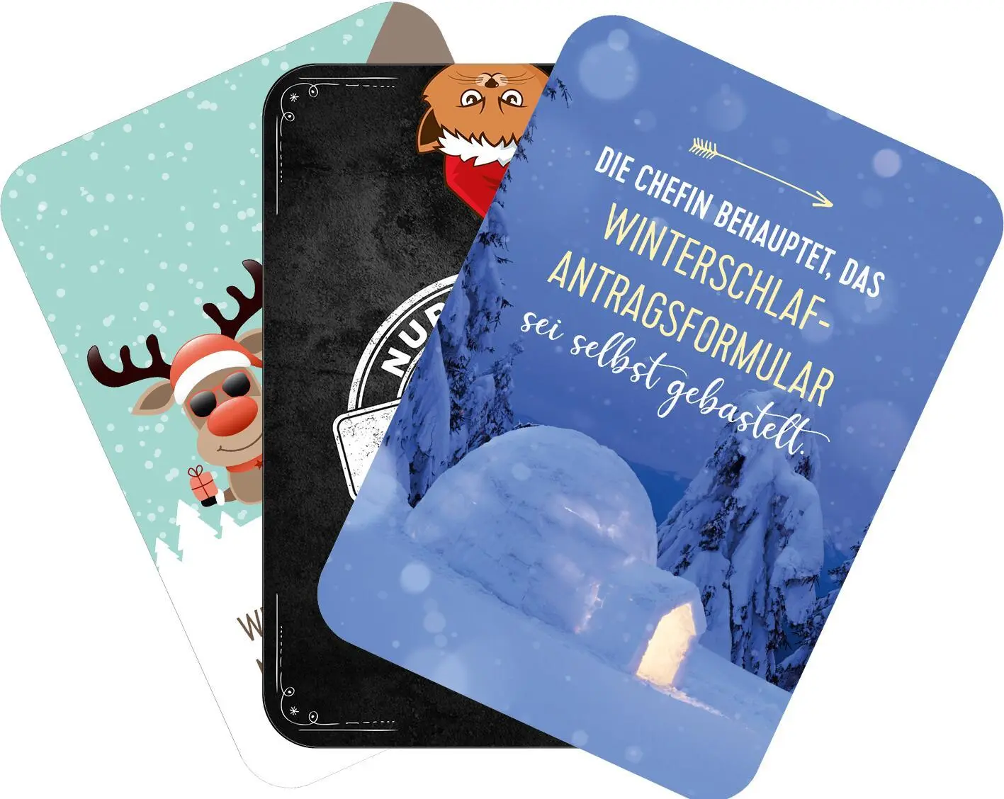 Bild: 9783845862149 | Advent, Advent, die Stimmung brennt! | 24 Kärtchen zum Abreagieren