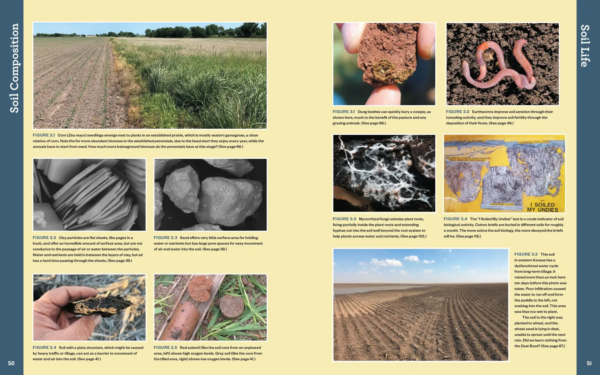 Bild: 9781635862249 | The Complete Guide to Restoring Your Soil | Dale Strickler | Buch