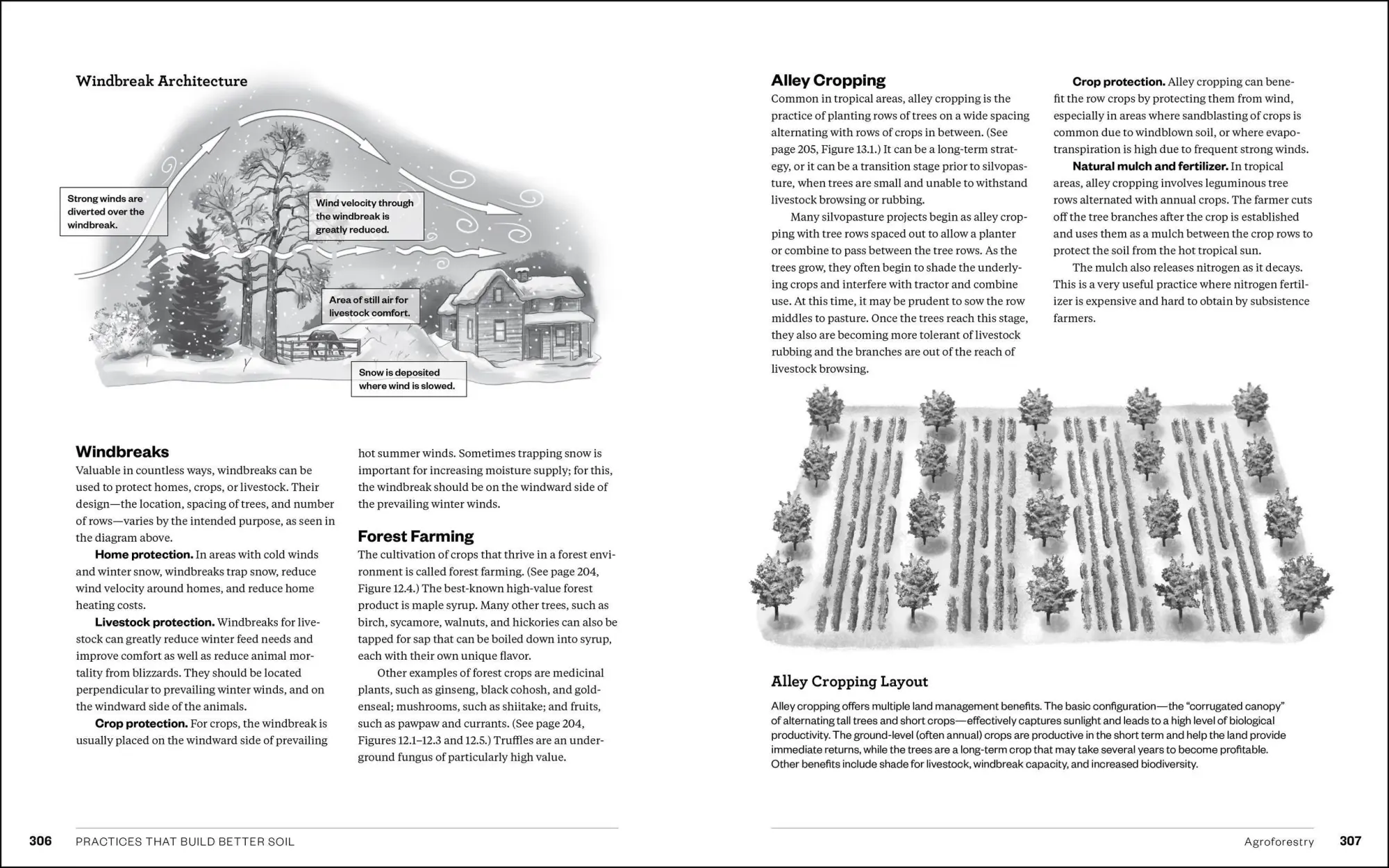 Bild: 9781635862249 | The Complete Guide to Restoring Your Soil | Dale Strickler | Buch