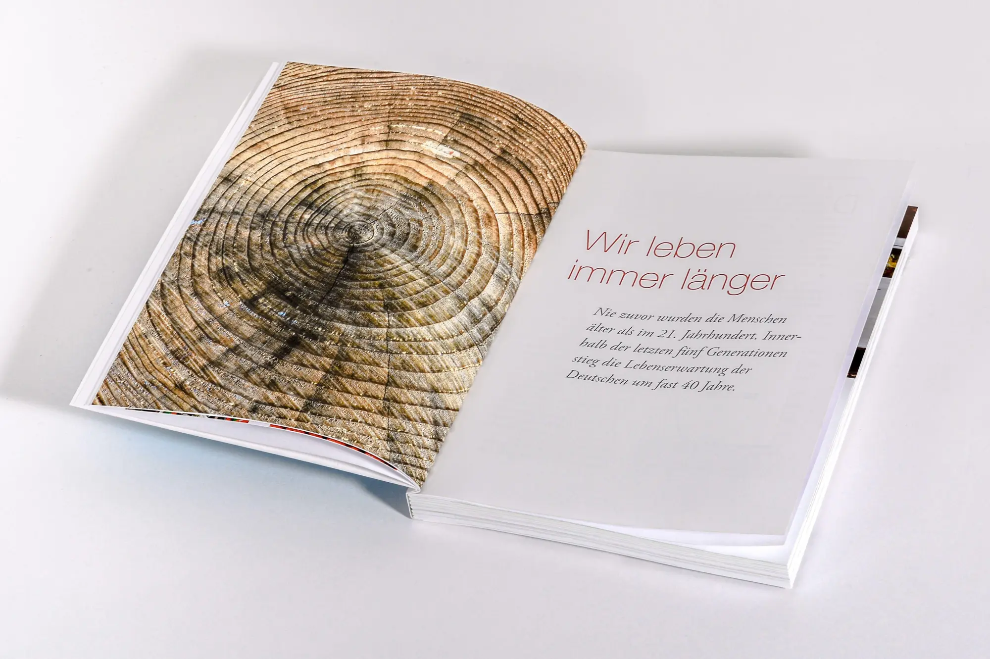 Bild: 9783809452249 | Länger leben mit gesunden Gefäßen | Martin Halle | Taschenbuch | 2026