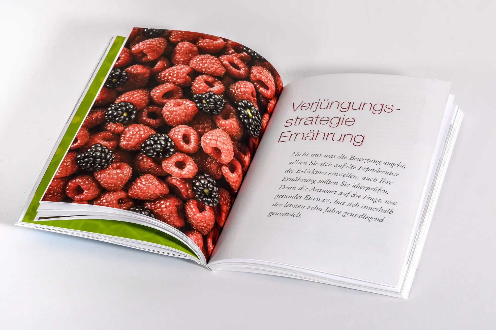 Bild: 9783809452249 | Länger leben mit gesunden Gefäßen | Martin Halle | Taschenbuch | 2026