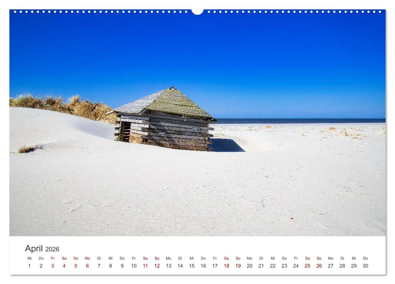 Bild: 9783457522349 | Amrum - Perle der Nordsee (Wandkalender 2026 DIN A2 quer), CALVENDO...