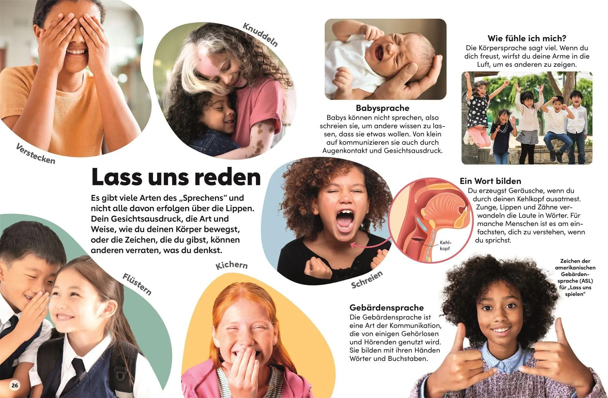 Bild: 9783831052349 | memo Wissen Kids. Der Körper | DK Verlag - Kids | Buch | 56 S. | 2026