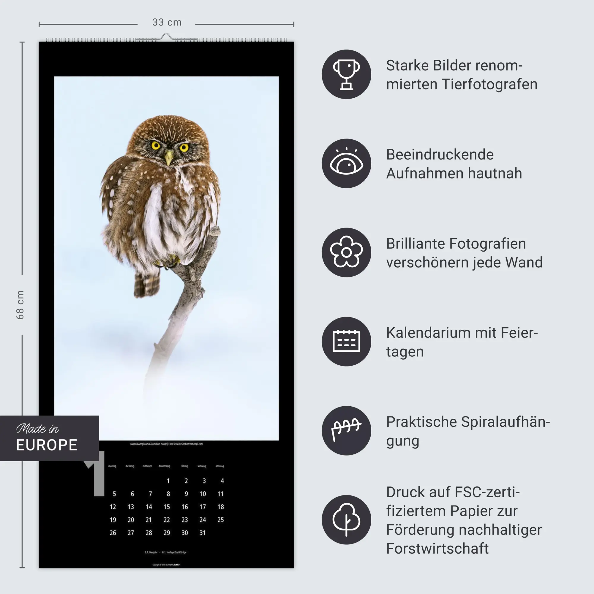 Bild: 9783839902349 | Eulen Kalender 2026 | Kalender | Tierkalender Weingarten | 14 S.