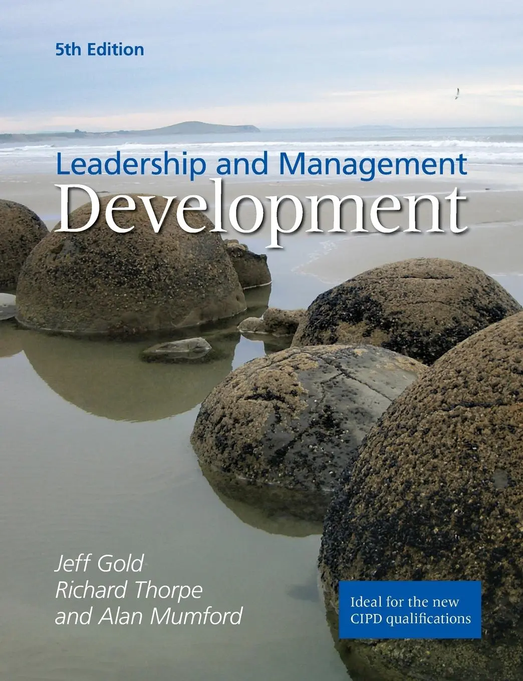 Cover: 9781843982449 | Leadership and Management Development | Jeffrey Gold (u. a.) | Buch