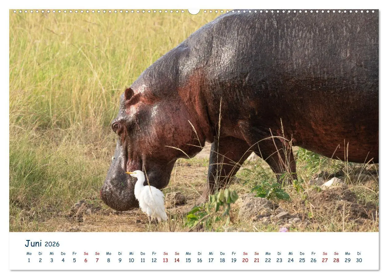 Bild: 9783457442449 | Fernweh Uganda - Naturschönheit Ostafrikas (hochwertiger Premium...