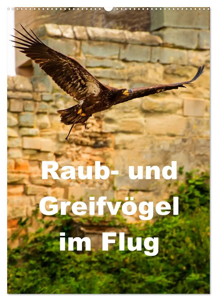 Cover: 9783516462449 | Raub- und Greifvögel im Flug (Wandkalender 2026 DIN A2 hoch),...