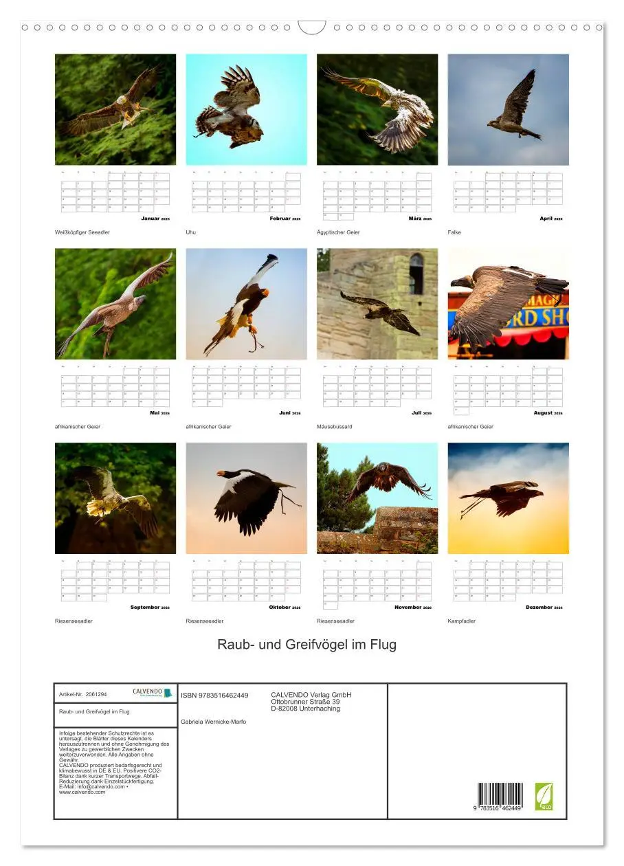Bild: 9783516462449 | Raub- und Greifvögel im Flug (Wandkalender 2026 DIN A2 hoch),...