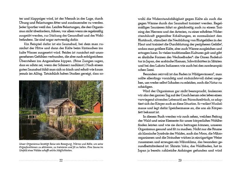 Bild: 9783710402449 | Kerngesund mit der Kraft des Waldes | Maximilian Moser | Buch | 192 S.