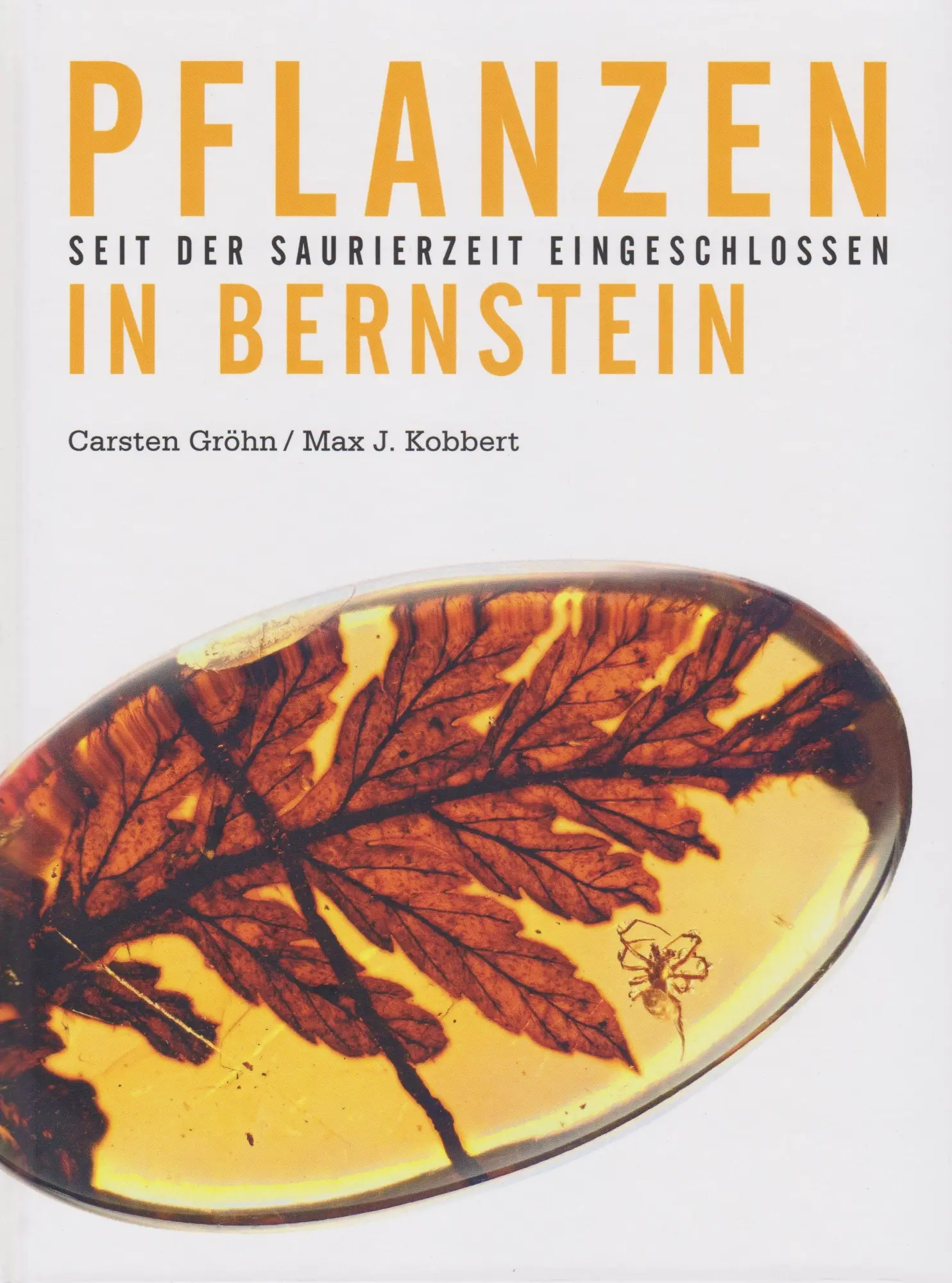Cover: 9783730822449 | Pflanzen in Bernstein | Seit der Saurierzeit eingeschlossen | Buch
