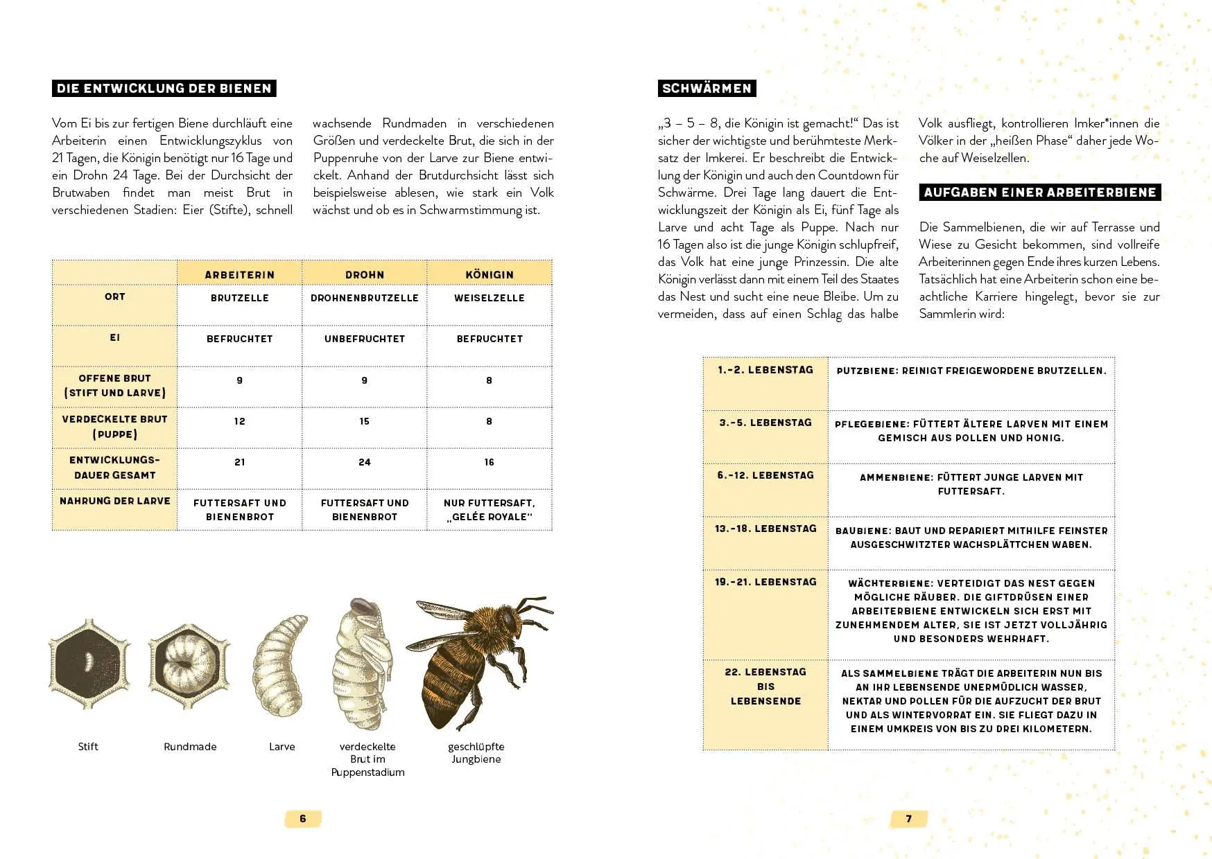 Bild: 9783745912449 | Mein Bienenjahr | Pia Schrade | Taschenbuch | 112 S. | Deutsch | 2022