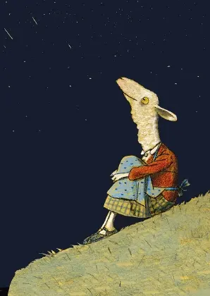 Cover: 9783779502449 | Sternenhimmel, Postkarten | Wolf Erlbruch | 2011 | Peter Hammer Verlag
