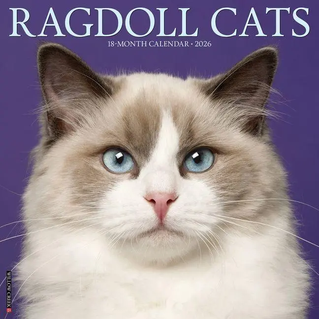 Cover: 9781549252549 | Ragdoll Cats 2026 Wall Calendar | Willow Creek Press | Kalender | 2026