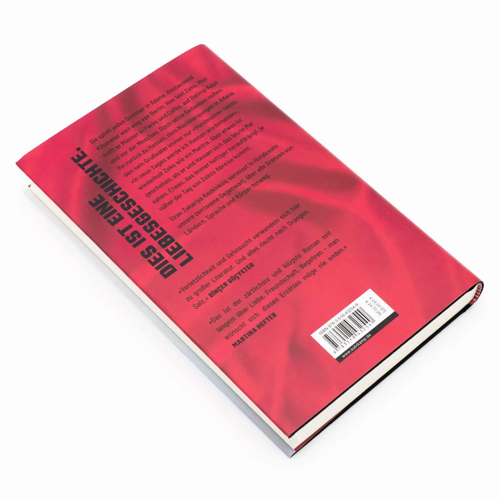 Bild: 9783518432549 | Hundesohn | Ozan Zakariya Keskinkiliç | Buch | 224 S. | Deutsch | 2025