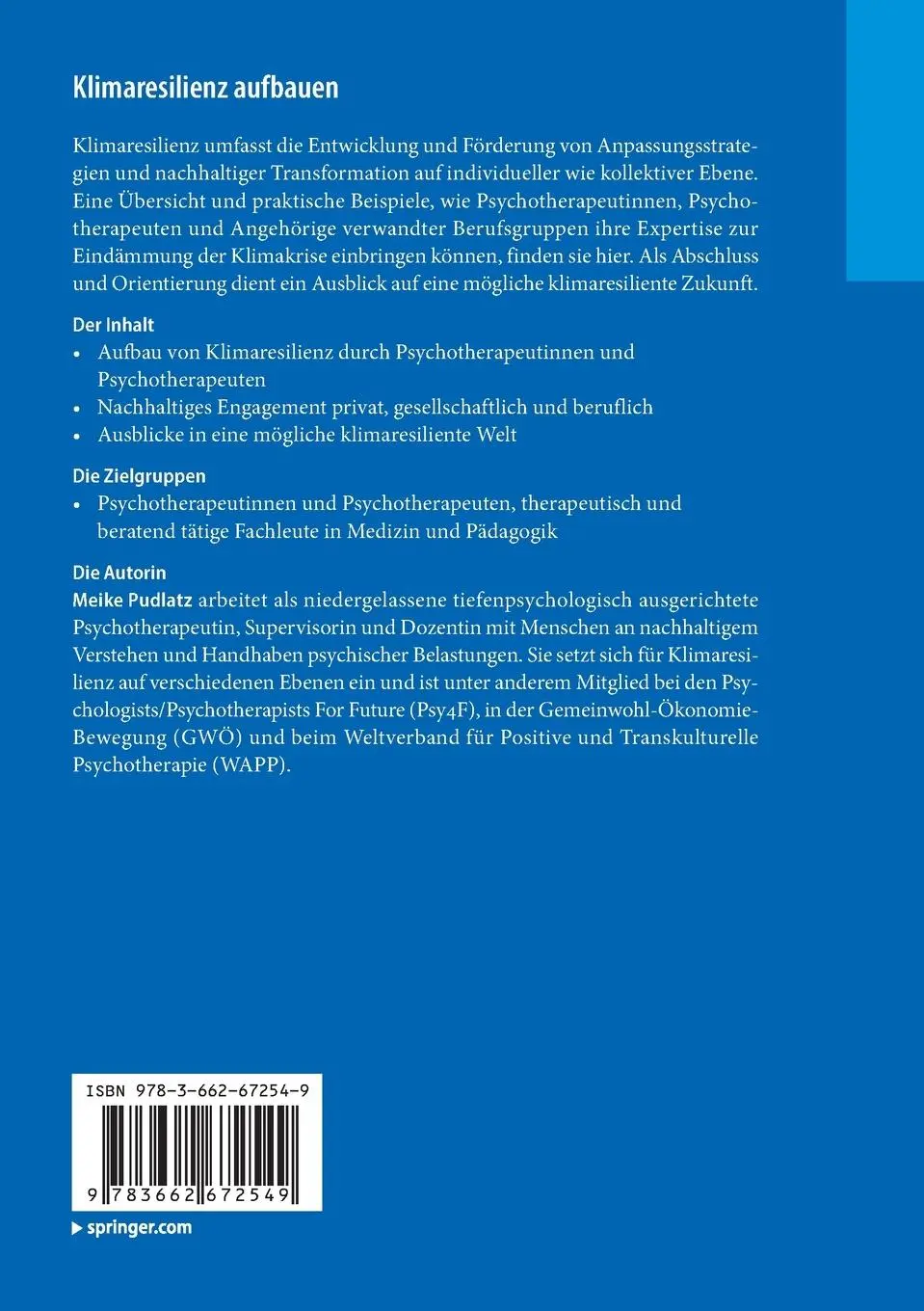 Rückseite: 9783662672549 | Klimaresilienz aufbauen | Meike Pudlatz | Taschenbuch | xi | Deutsch