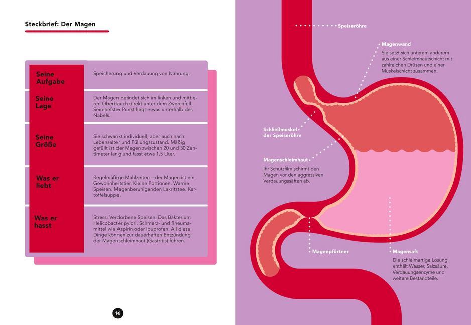 Bild: 9783833872549 | Dr. Food für Magen, Darm und Verdauung | Hobelsberger | Taschenbuch