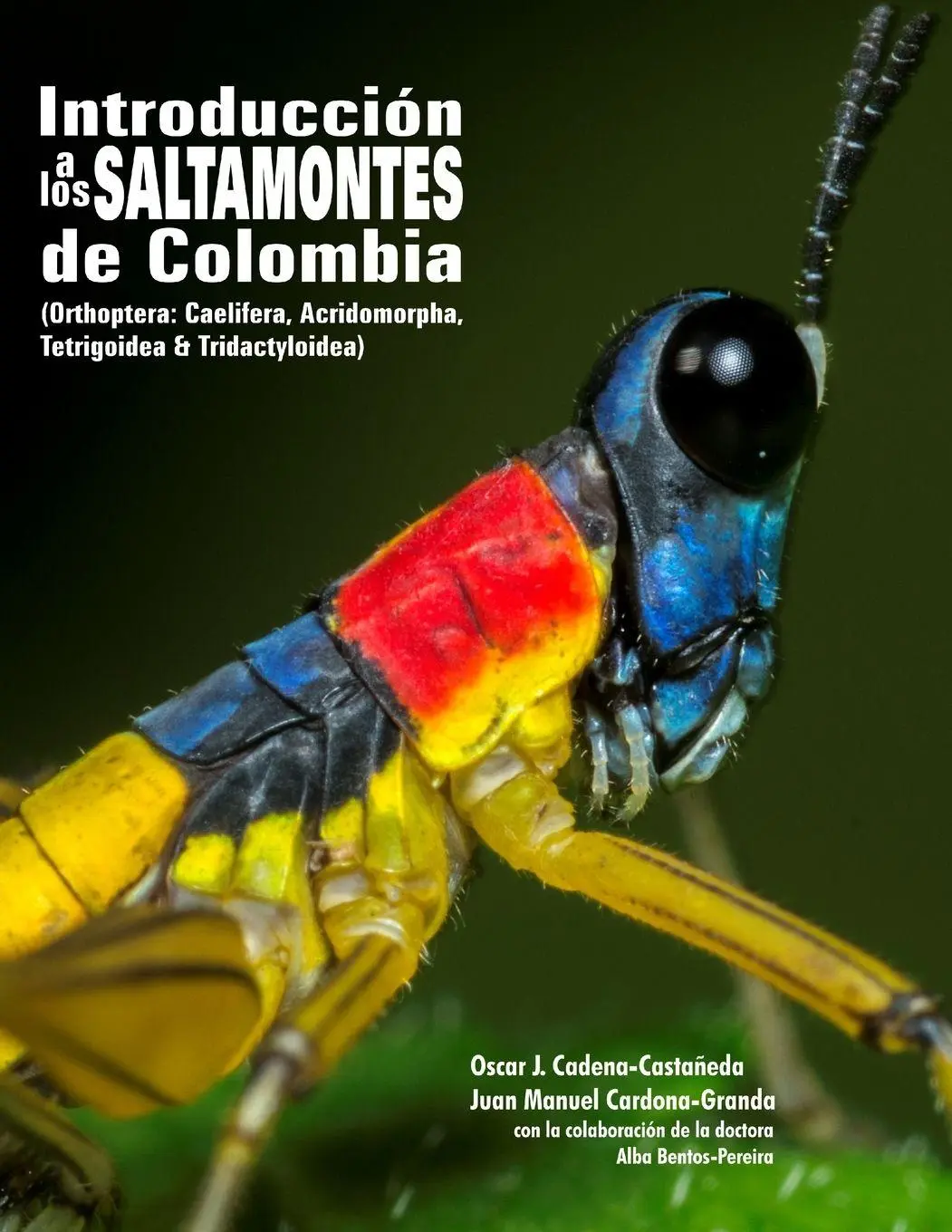 Cover: 9781329392649 | Introduccion a los saltamontes de Colombia | Oscar J. Cadena-Castañeda
