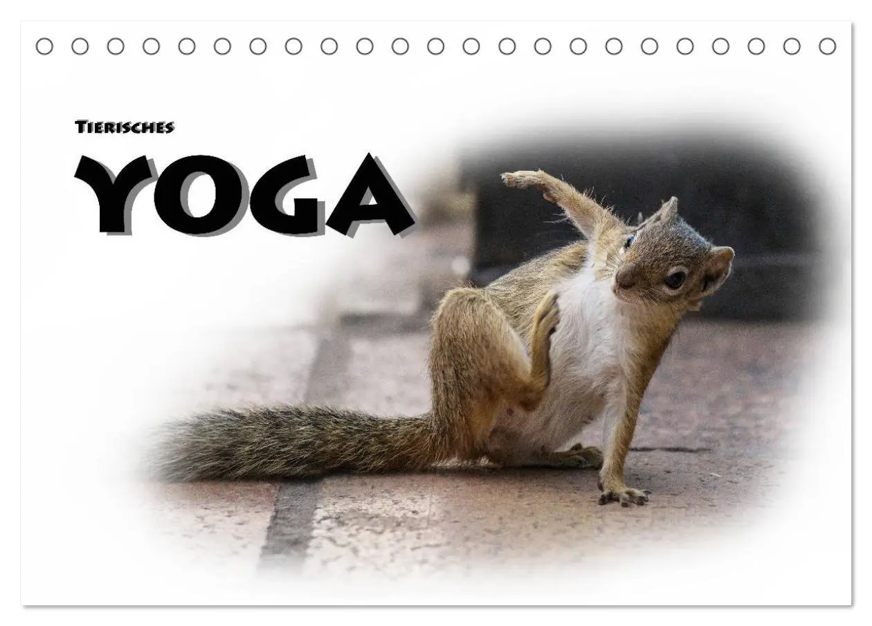 Cover: 9783457802649 | Tierisches Yoga (Tischkalender 2026 DIN A5 quer), CALVENDO...