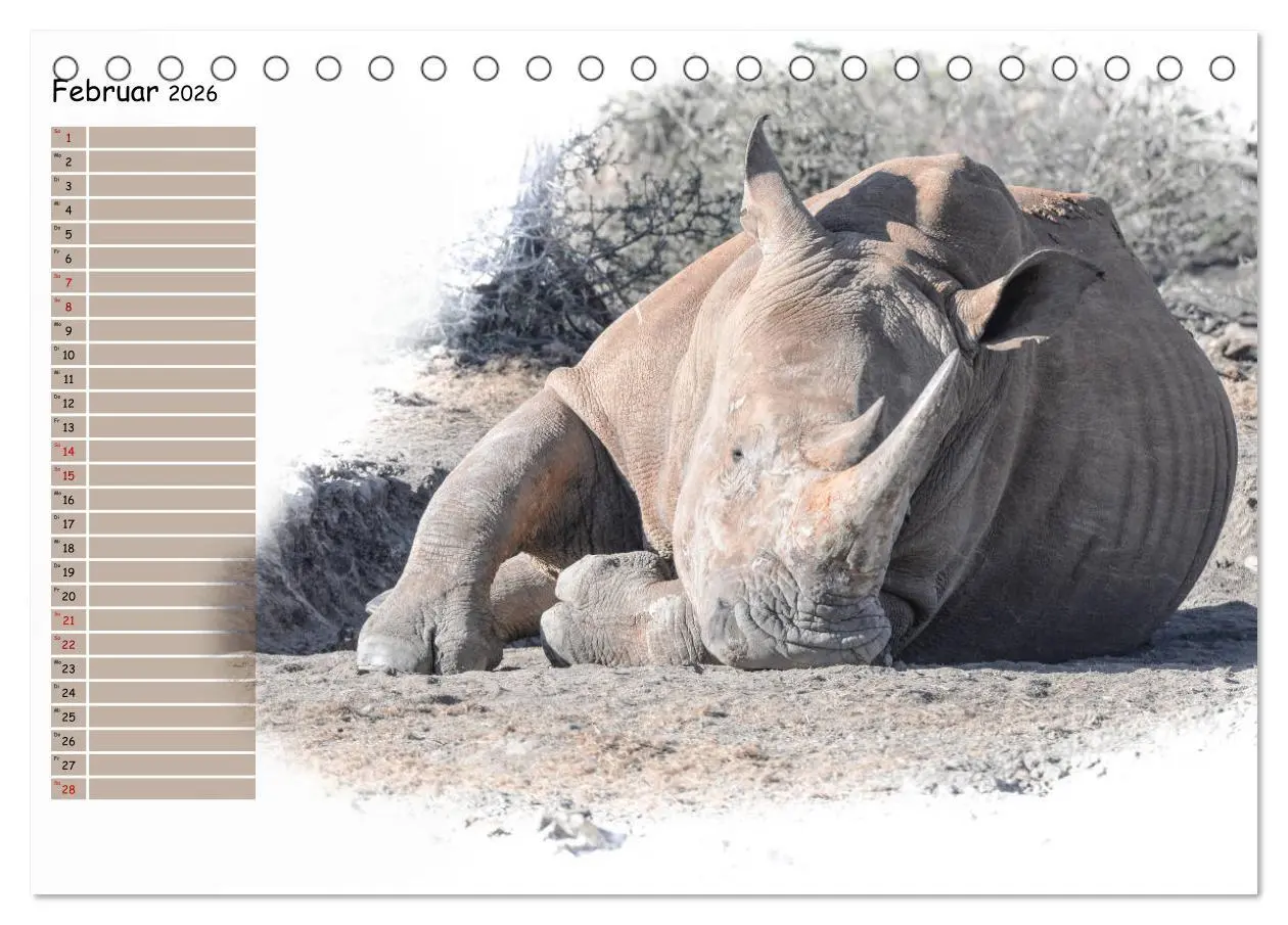 Bild: 9783457802649 | Tierisches Yoga (Tischkalender 2026 DIN A5 quer), CALVENDO...