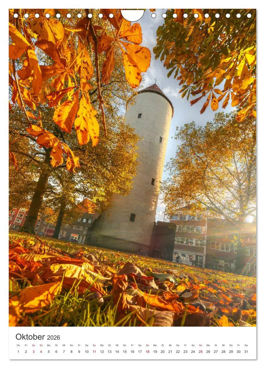 Bild: 9783516372649 | Münster - Stadt und Natur (Wandkalender 2026 DIN A4 hoch), CALVENDO...