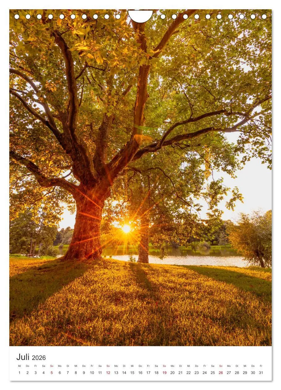 Bild: 9783516372649 | Münster - Stadt und Natur (Wandkalender 2026 DIN A4 hoch), CALVENDO...