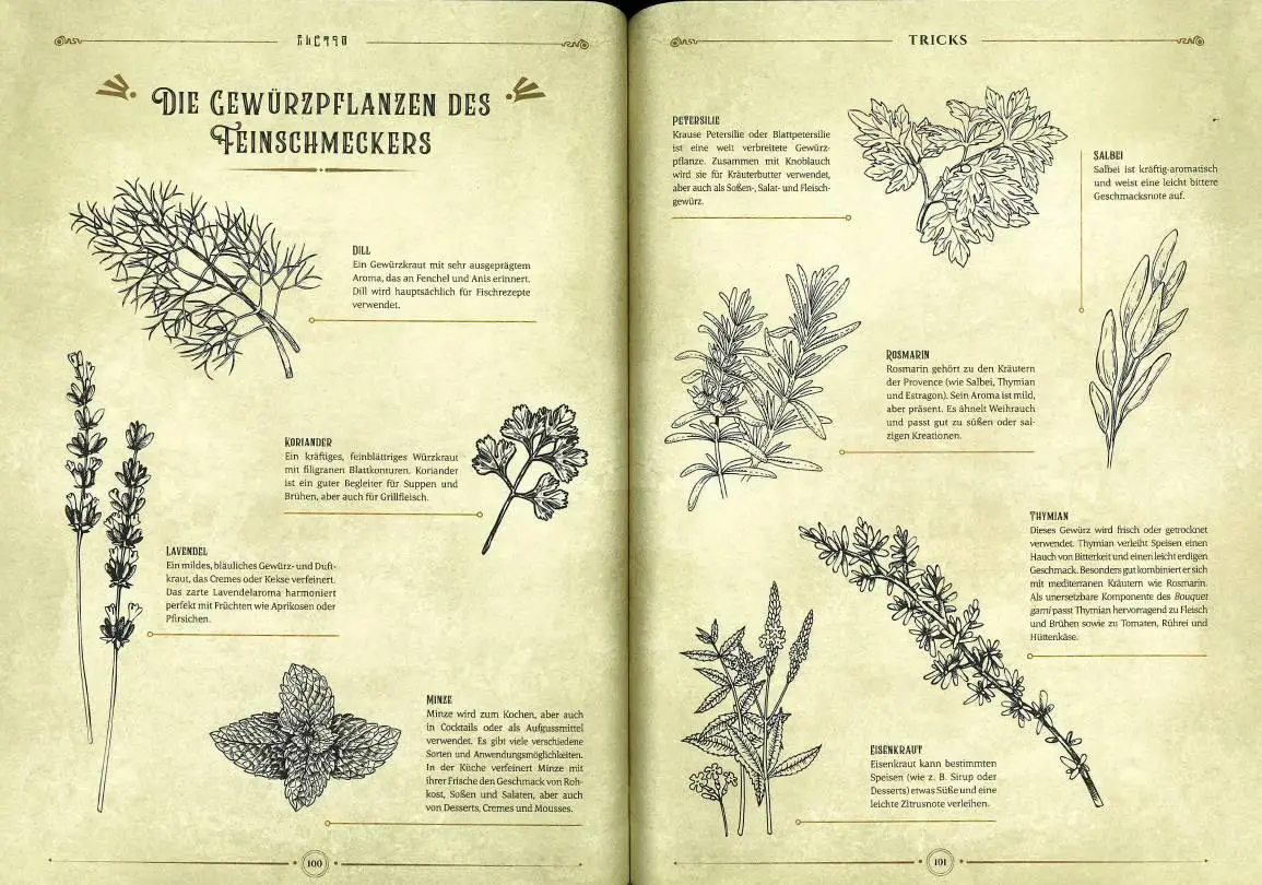 Bild: 9783833242649 | Die legendäre Küche von Zelda - Magische Rezepte inspiriert von der...