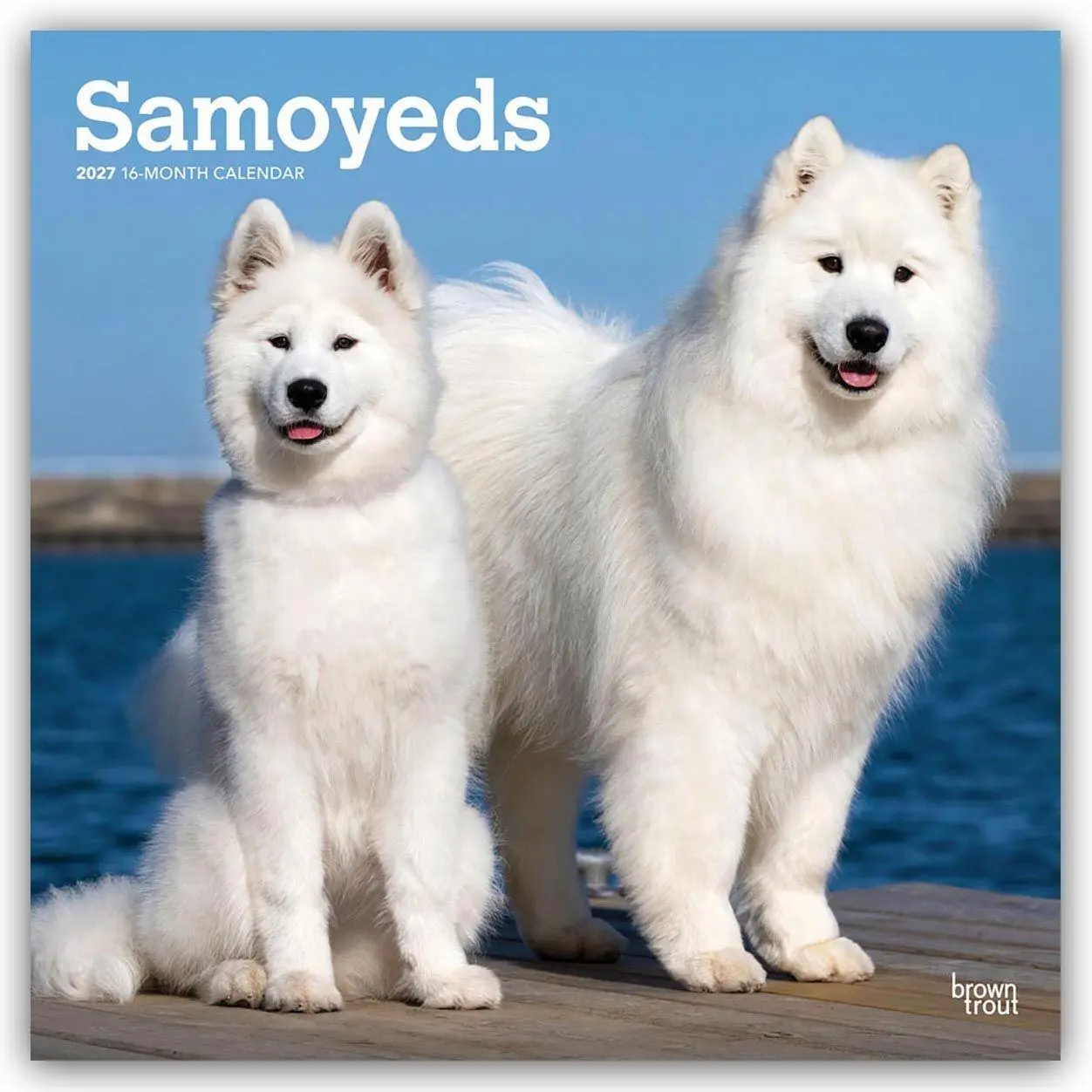Cover: 9798330712649 | Samoyeds - Samojede 2027 - 16-Monatskalender | Browntrout Publishers
