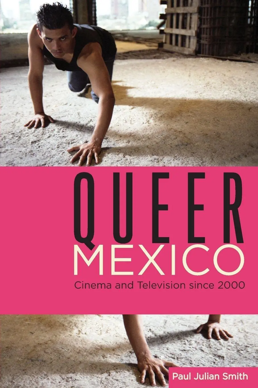 Cover: 9780814342749 | Queer Mexico | Cinema and Television Since 2000 | Paul Julian Smith