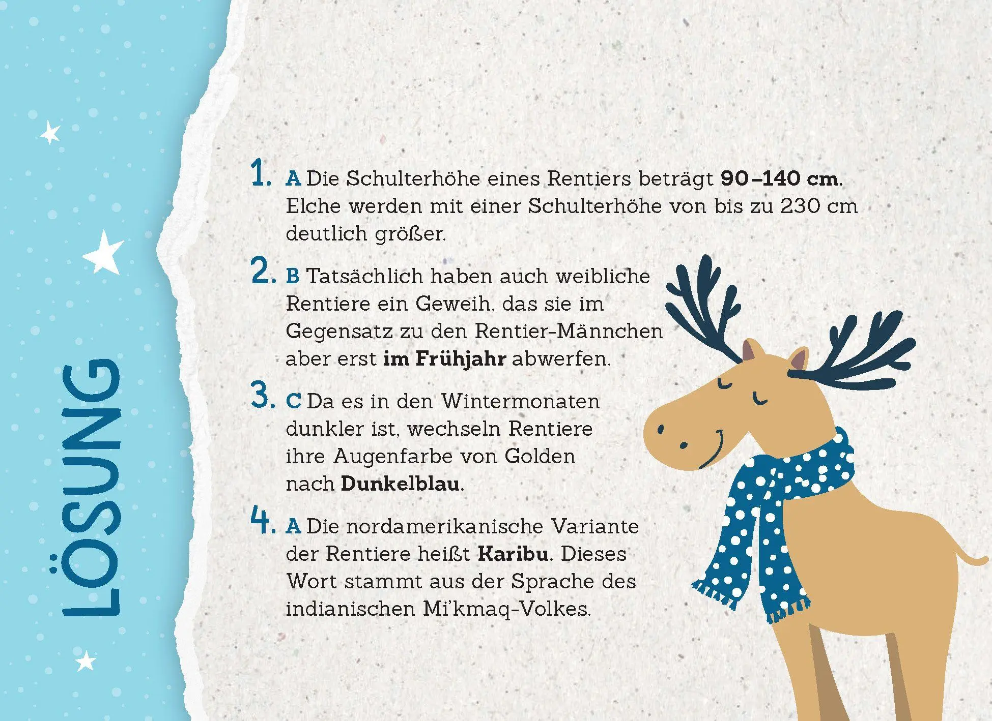 Bild: 9783625192749 | 24 Adventsrätsel Die perfekte Ablenkung vom Weihnachtsstress | Kiefer Bild: 9783625192749 | 24 Adventsrätsel Die perfekte Ablenkung vom Weihnachtsstress | Kiefer