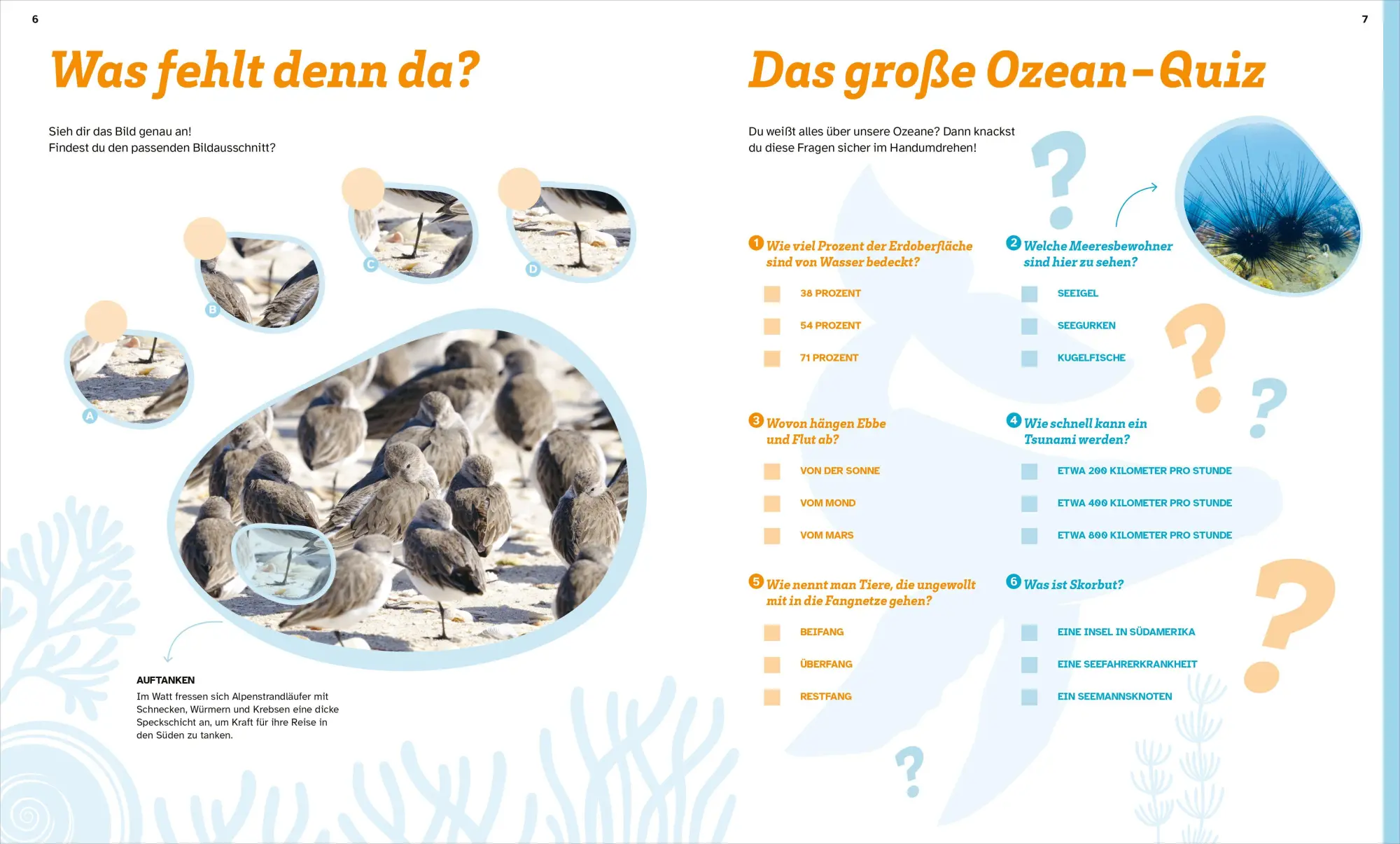 Bild: 9783788622749 | WAS IST WAS Rätseln und Stickern: Ozeane | KG | Broschüre | 24 S.