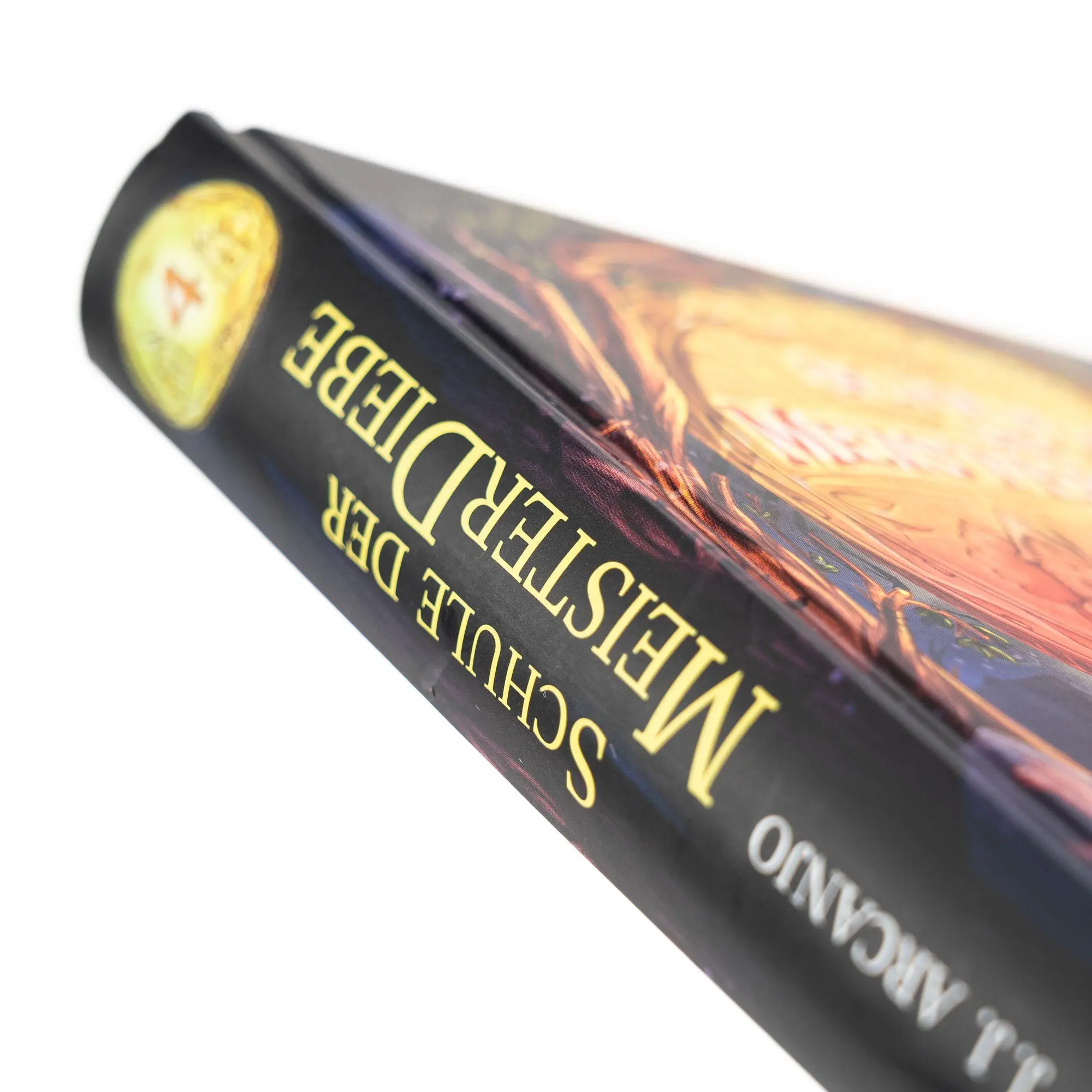 Bild: 9783505152849 | Schule der Meisterdiebe 4: Die schwarze Festung | J. J. Arcanjo | Buch