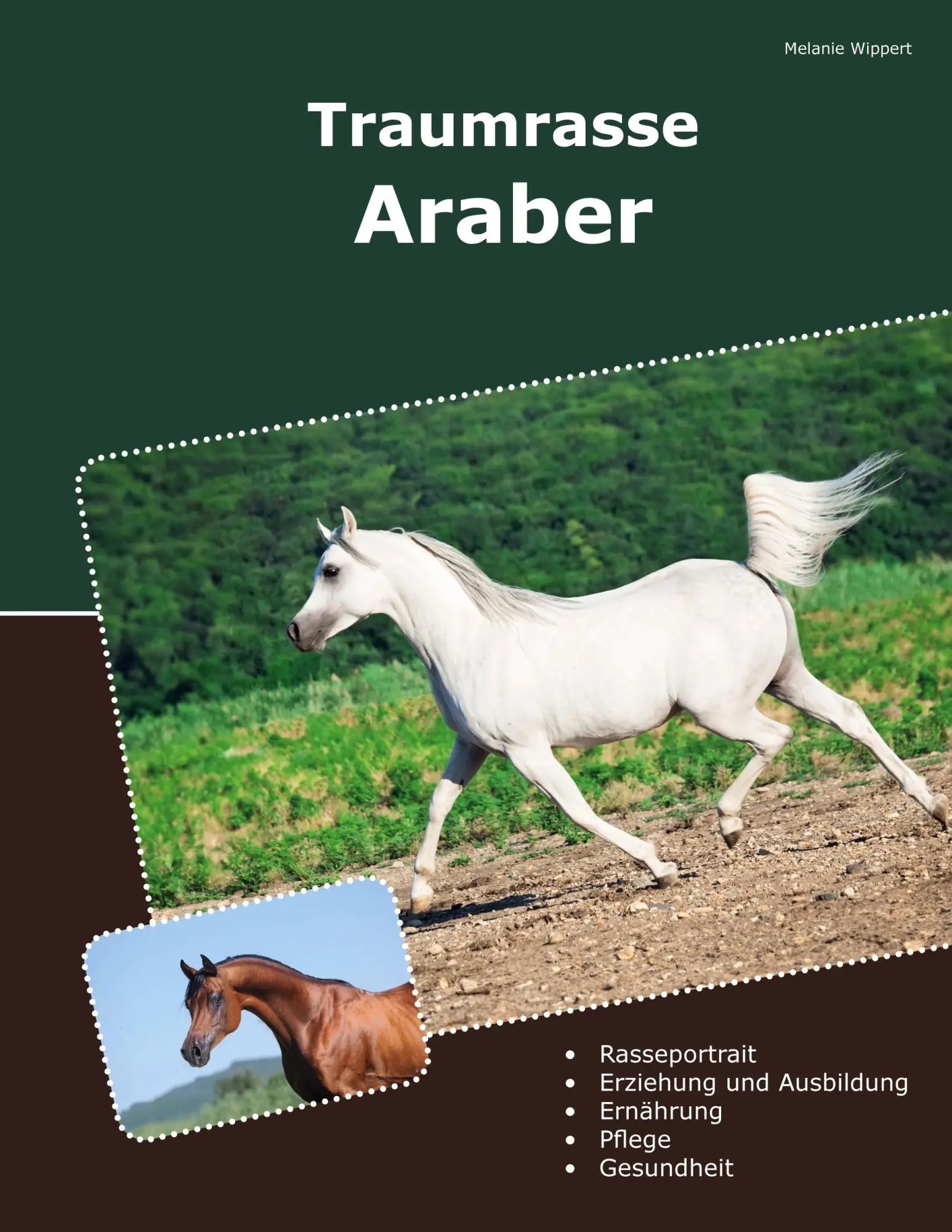 Cover: 9783758382949 | Traumrasse Araber | Melanie Wippert | Taschenbuch | Paperback | 160 S.