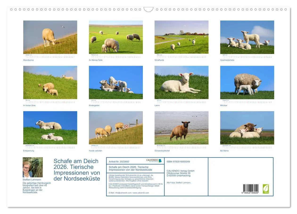 Bild: 9783516093049 | Schafe am Deich 2026. Tierische Impressionen von der Nordseeküste...